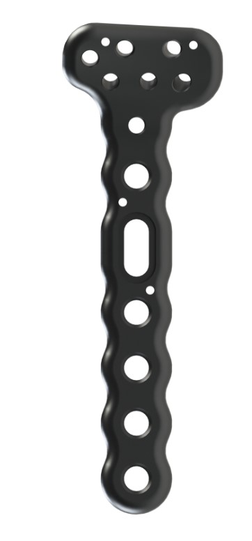 Image for 