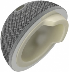 Image for 