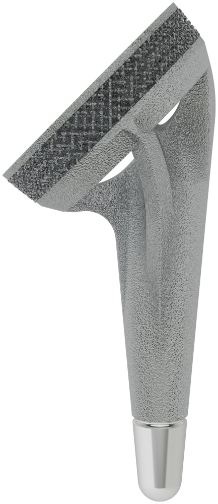 Image for 